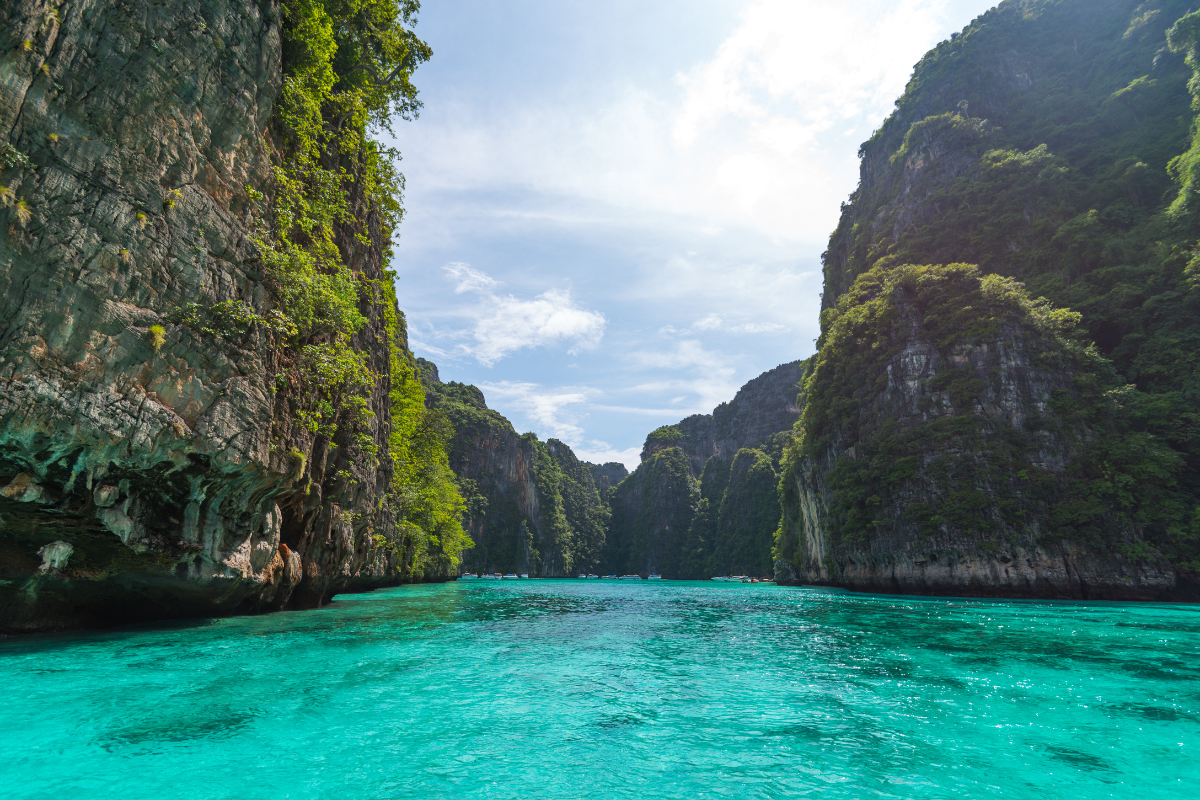 Tourism killed Thailand's most famous bay. Here's how it was brought ...