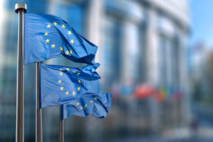Why small businesses can't afford to ignore new EU sustainability regulations: CSRD