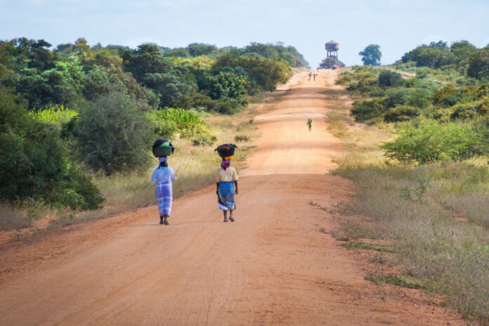 TUI Care Foundation launches conservation initiative in Mozambique